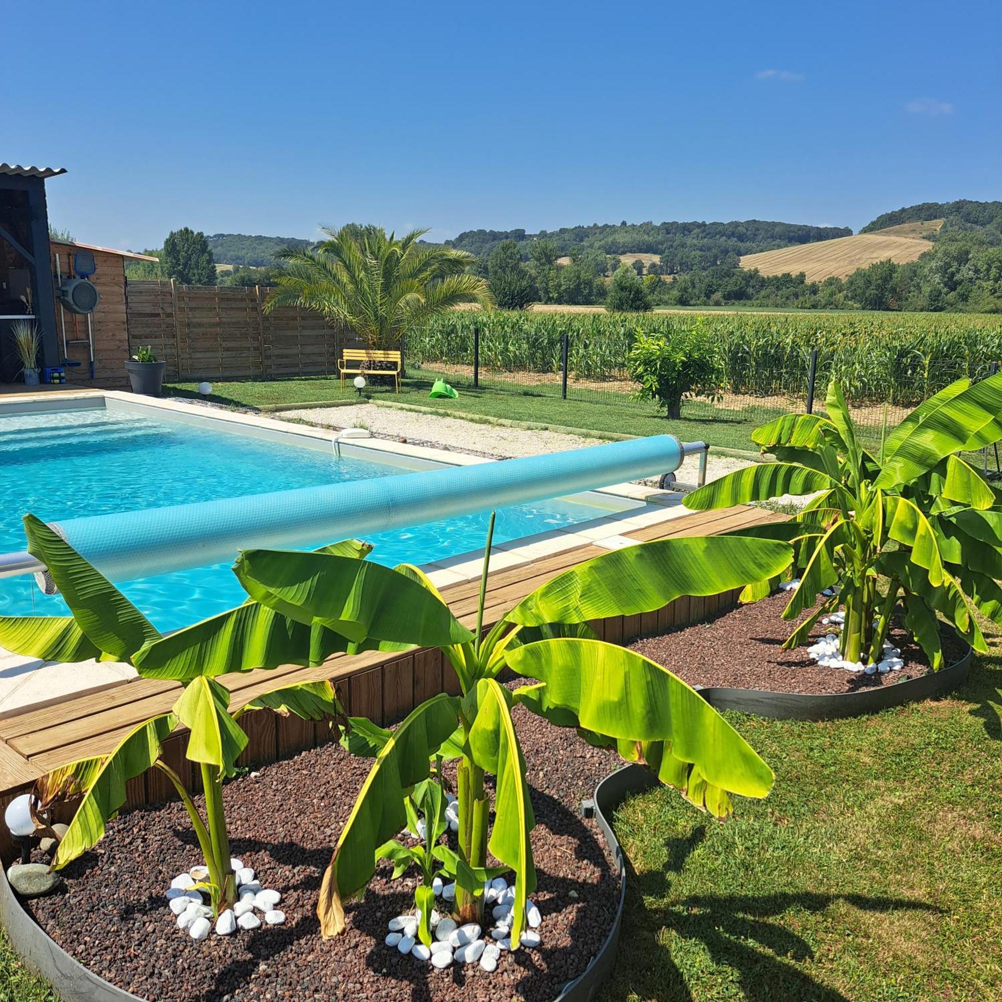 הוילה Saint-Pierre-de-Clairac Le Domaine Vesque מראה חיצוני תמונה